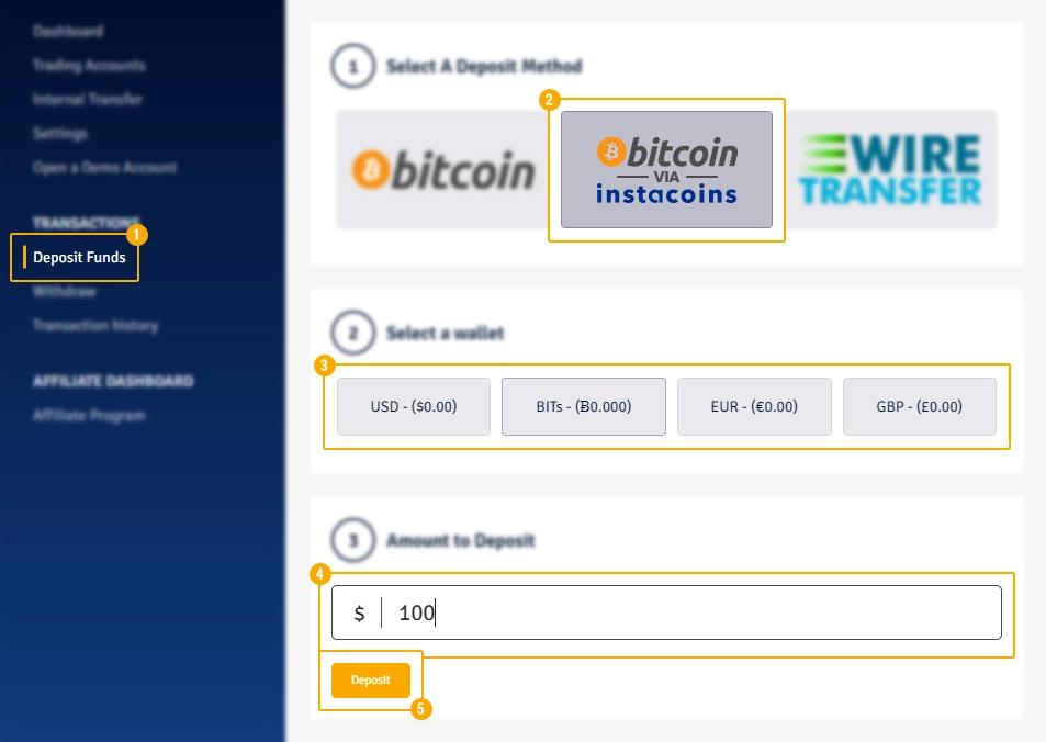 Instacoins Guide 01